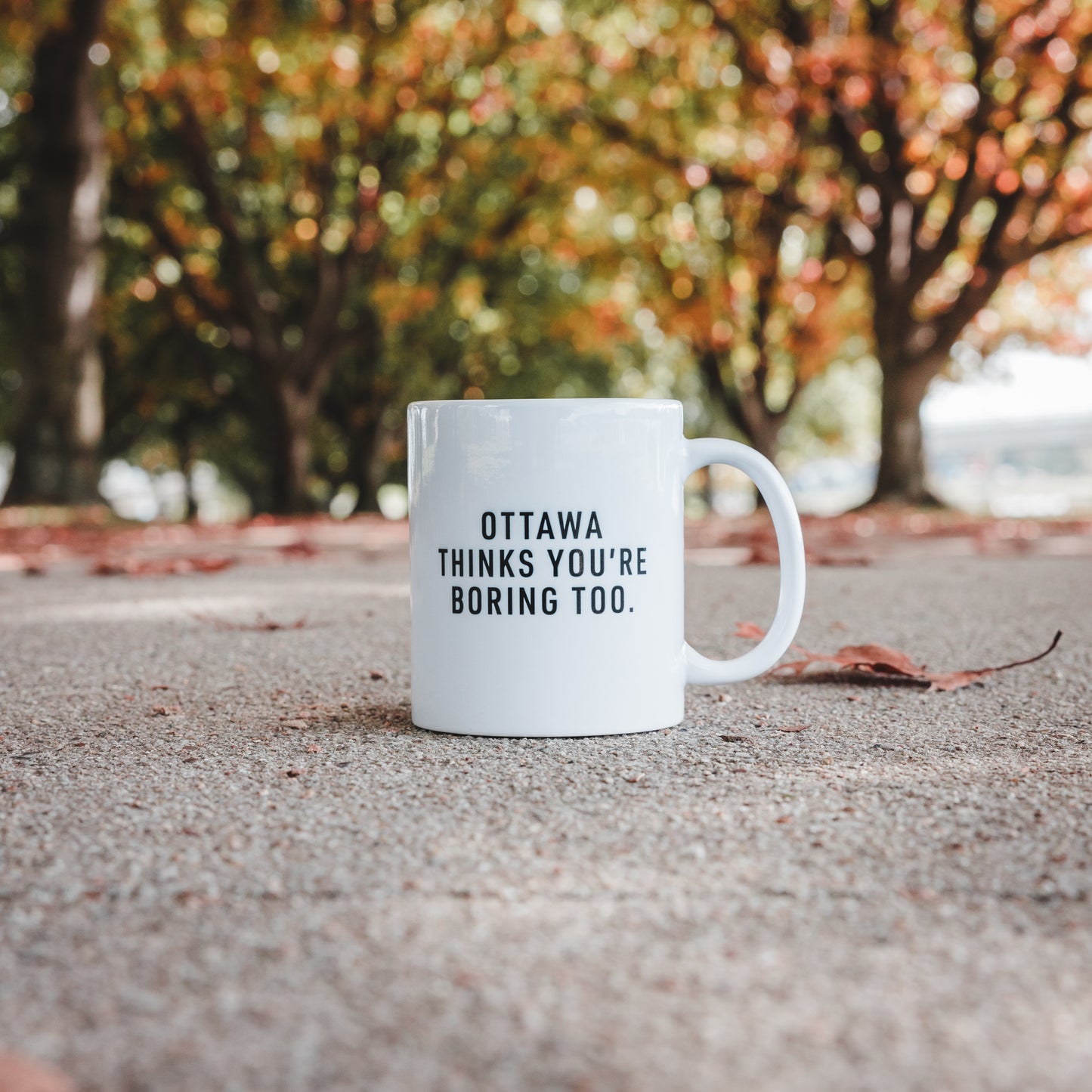 Ottawa Thinks You’re Boring Too Mug