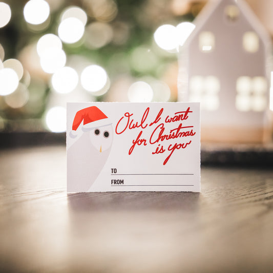 Owl I Want For Christmas Is You Gift Sticker